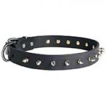 Riesenschnauzer Leather Collar Spiked 30 mm