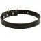 Riesenschnauzer Leather Dog Collar 1 inch Wide
