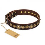"Ancient Warrior" FDT Artisan Fancy Leather Riesenschnauzer Collar with Old-Bronze Plated Decorations