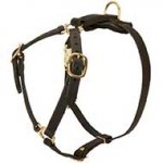 Y-Shaped Leather Riesenschnauzer Harness for Tracking and Training