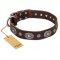 "Extra Pizzazz" FDT Artisan Adorned Brown Leather Riesenschnauzer Collar