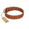 "Rebellious Nature" FDT Artisan Tan Leather Riesenschnauzer Collar Embellished with Crossbones and Square Studs