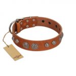 "Era Infinitum" FDT Artisan Tan Leather Riesenschnauzer Collar Adorned with Chrome-plated Circles