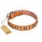 "Extra Sparkle" FDT Artisan Handcrafted Tan Leather Riesenschnauzer Collar