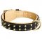 Royal Leather Riesenschnauzer Collar Spiked Padded with Nappa Leather