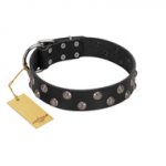 "Power-Flower" FDT Artisan Black Leather Riesenschnauzer Collar with Two Rows of Silver-like Studs with Engraved Flowers