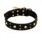"Heavy Metal" Leather Riesenschnauzer Collar with Skulls and Studs 1 1/2 inch (40 mm)