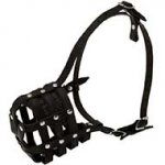 Walking and Training Leather Cage Riesenschnauzer Muzzle