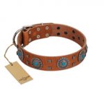 "Blue Sands" FDT Artisan Tan Leather Riesenschnauzer Collar with Silver-like Studs and Round Conchos with Stones