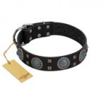 "Boundless Blue" FDT Artisan Black Leather Riesenschnauzer Collar with Chrome Plated Brooches and Square Studs