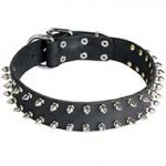 Leather Riesenschnauzer Collar with 2 Rows of Nickel Spikes