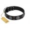 "Boundless Blue" FDT Artisan Black Leather Riesenschnauzer Collar with Chrome Plated Brooches and Square Studs