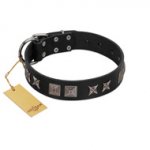 "Silver River" Designer Handmade FDT Artisan Black Leather Riesenschnauzer Collar