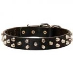 Fancy Design Leather Riesenschnauzer Collar with Nickel Pyramids