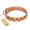 "Precious Sparkle" FDT Artisan Handcrafted Tan Leather Riesenschnauzer Collar