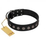 "Silent Star" Handmade FDT Artisan Designer Black Leather Riesenschnauzer Collar with Engraved Plates