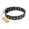 "Refined Essence" FDT Artisan Black Leather Riesenschnauzer Collar with Silvery Studs