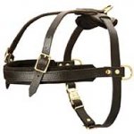 Leather Riesenschnauzer Harness for Tracking and Pulling