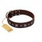 "Stellar Fairy " FDT Artisan Brown Leather Riesenschnauzer Collar with Chrome-plated Star-like Decorations