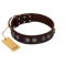 "King Arthur" FDT Artisan Brown Leather Riesenschnauzer Collar with Spiky Plates
