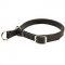 Riesenschnauzer Leather Choke Collar