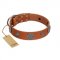 "Foxy Nature" FDT Artisan Tan Leather Riesenschnauzer Collar with Chrome Plated Brooches
