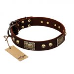 "Magic Amulet" Brown Leather Riesenschnauzer Collar with Skulls and Plates