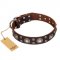 "Age of Beauty" FDT Artisan Incredible Studded Brown Leather Riesenschnauzer Collar