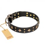 "A La Mode" FDT Artisan Handcrafted Black Leather Riesenschnauzer Collar