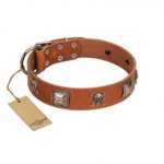 "Amorous Escapade" Embellished FDT Artisan Tan Leather Riesenschnauzer Collar with Chrome Plated Crossbones and Plates