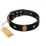 "Star Powder" FDT Artisan Black Leather Riesenschnauzer Collar with Ovals and Stars - 1 1/2 inch Wide