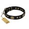 "High Fashion" FDT Artisan Studded with Plates Black Leather Riesenschnauzer Collar