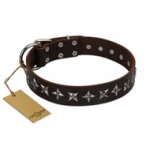 "Stars of Glory" FDT Artisan Brown Leather Riesenschnauzer Collar for Comfortable Walking