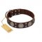 "Sun in Barchans" Modern FDT Artisan Brown Leather Riesenschnauzer Collar with Engraved Stars on Round Plates and Studs
