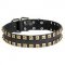 2 Rows Brass Studded Leather Riesenschnauzer Collar for Walking and Training