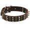 Riesenschnauzer Spikes and Studs Rows Leather Dog Collar