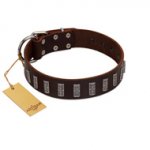 "Brown Lace" Handmade FDT Artisan Brown Leather Riesenschnauzer Collar for Everyday Walks
