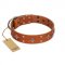 "Tawny Beauty" FDT Artisan Tan Leather Riesenschnauzer Collar Adorned with Stars and Tiny Squares