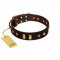 "Blinking Illusion" FDT Artisan Brown Leather Riesenschnauzer Collar with Old Bronze-like Studs and Plates