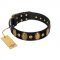 "Venerable Pawty" FDT Artisan Black Leather Riesenschnauzer Collar with Old Bronze-like Ovals and Studs