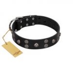 "Skull Art" Designer Handmade FDT Artisan Black Leather Riesenschnauzer Collar with Skulls