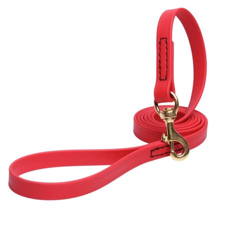 Red Waterproof Riesenschnauzer Leash Made of Biothane