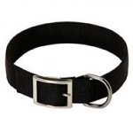 2 Ply Nylon Riesenschnauzer Collar