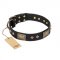 "Jewel Passion" FDT Artisan Fashionable Black Leather Riesenschnauzer Collar