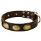 Designer Leather Riesenschnauzer Collar with Oval Plates