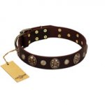 "Snazzy Paws" FDT Artisan Brown Leather Riesenschnauzer Collar Adorned with Conchos and Medallions
