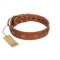 "Star Shine" Exclusive FDT Artisan Tan Leather Riesenschnauzer Collar with Silver-Like Adornments