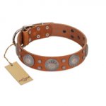 "Far Star" FDT Artisan Tan Leather Riesenschnauzer Collar with Engraved Studs