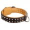Spiked Riesenschnauzer Collar Padded with Nappa Leather