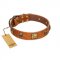 "Knights Templar" FDT Artisan Tan Leather Riesenschnauzer Collar with Skulls and Crossbones Combined with Squares